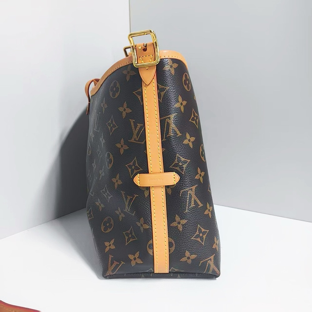 Louis Vuitton Monogram Canvas Carryall PM Bag - Picture 5 of 12